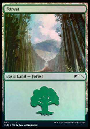 Forest (Walls) (577) [Secret Lair Drop Promos] | Tables and Towers
