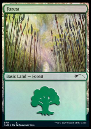 Forest (Elves) (579) [Secret Lair Drop Promos] | Tables and Towers