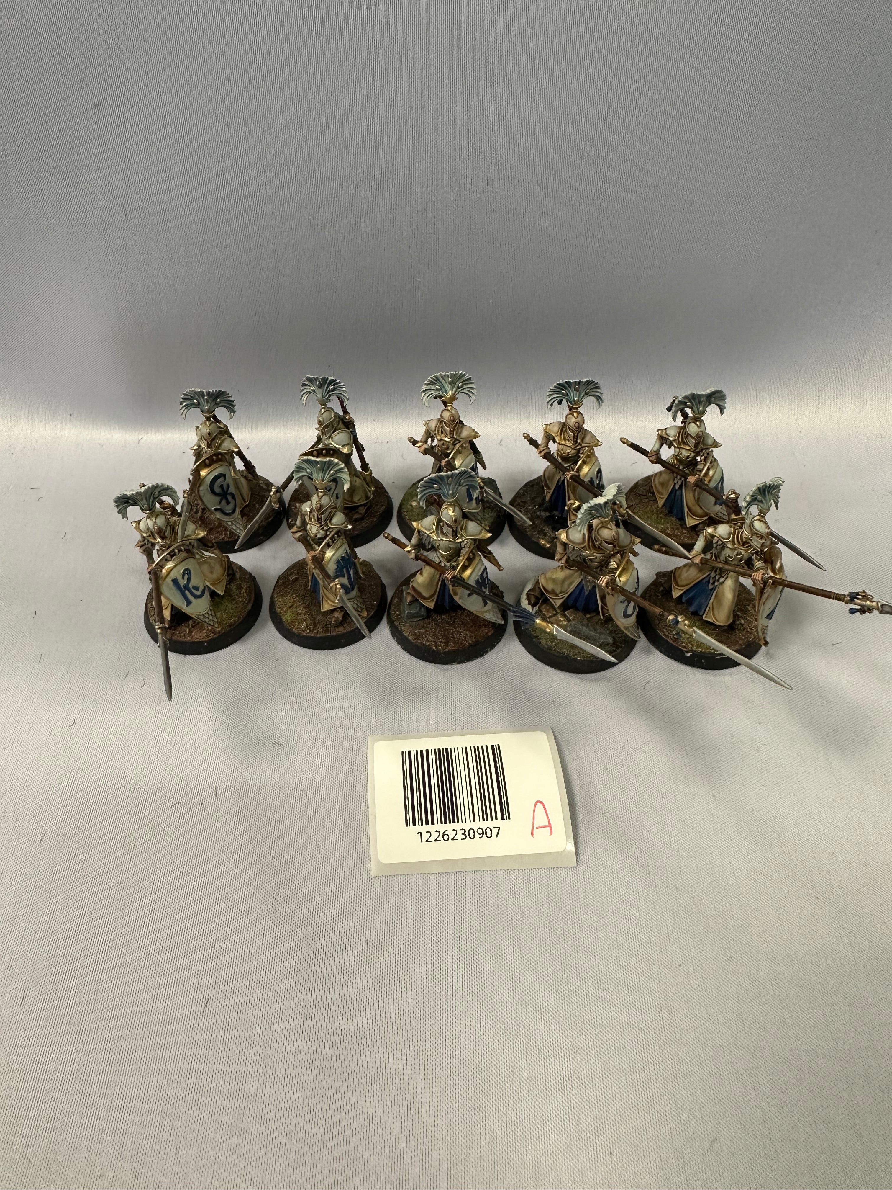 Well Painted Vanari Auralan Wardens A | Tables and Towers