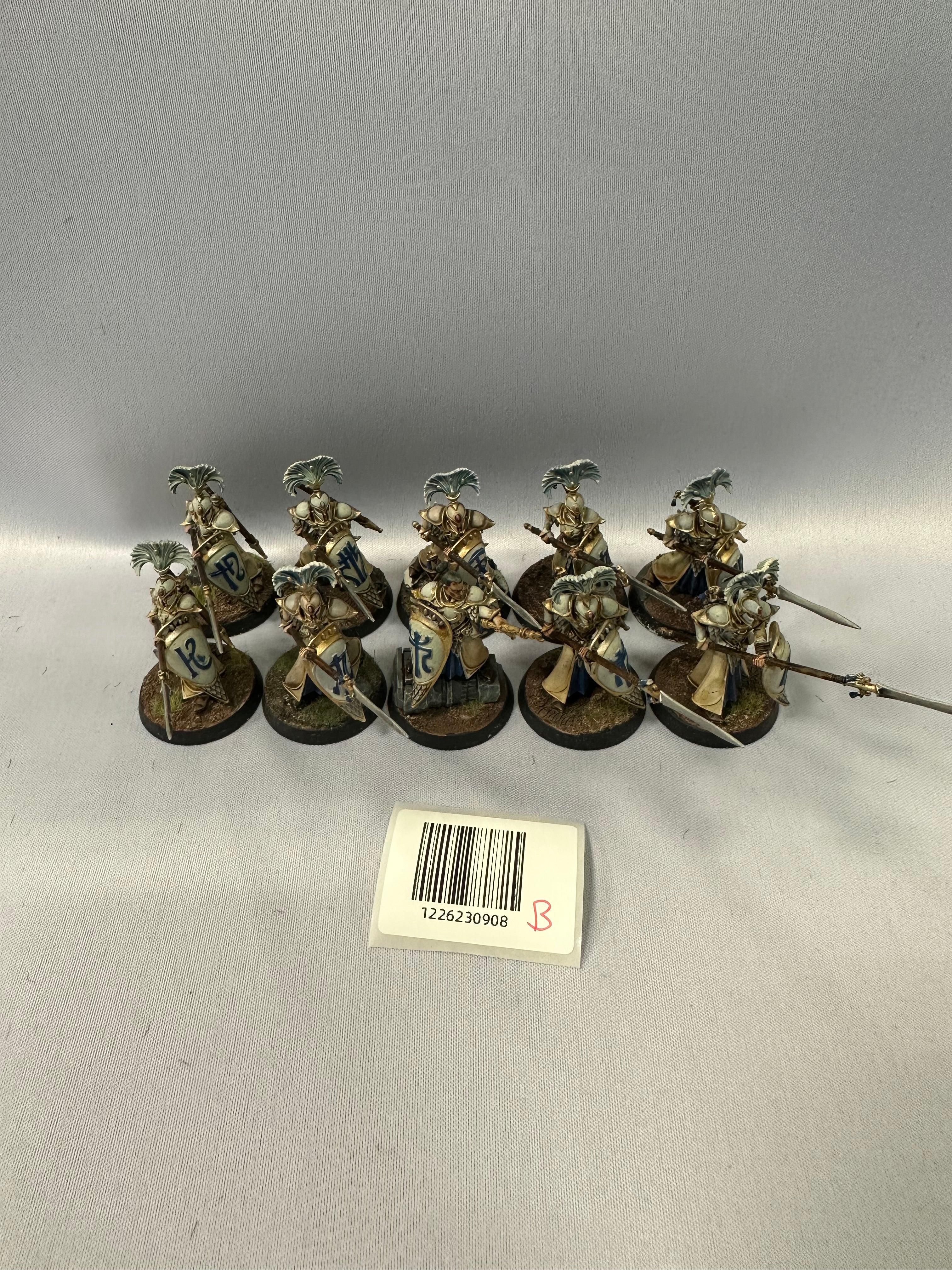 Well Painted Vanari Auralan Wardens B | Tables and Towers