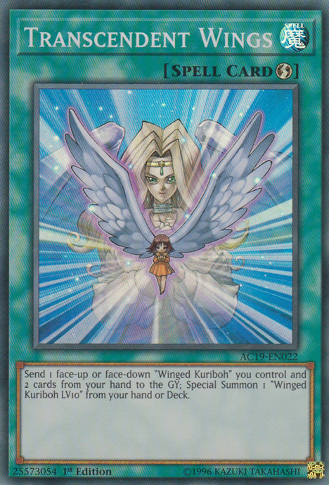 Transcendent Wings [AC19-EN022] Super Rare | Tables and Towers