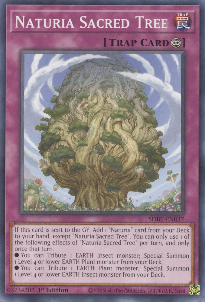 Naturia Sacred Tree [SDBT-EN037] Common | Tables and Towers