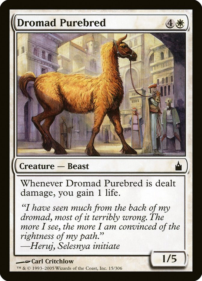 Dromad Purebred [Ravnica: City of Guilds] | Tables and Towers