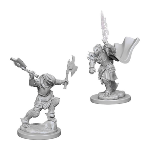 Nolzur's Marvelous Miniatures - Dragonborn Female Fighter | Tables and Towers