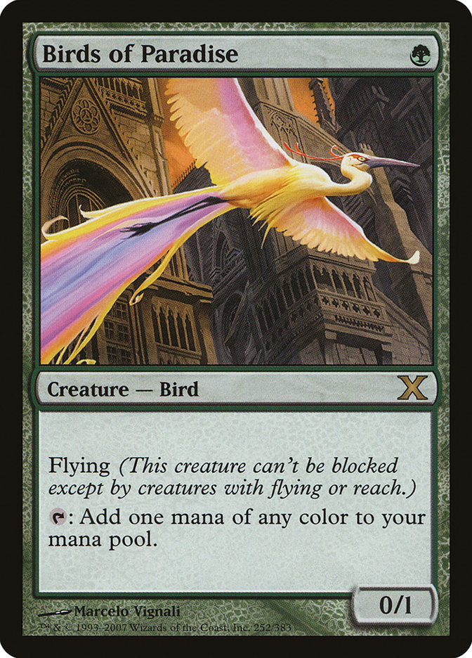 Birds of Paradise [Tenth Edition] | Tables and Towers