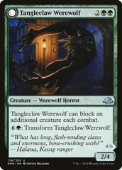 Tangleclaw Werewolf // Fibrous Entangler [Eldritch Moon] | Tables and Towers