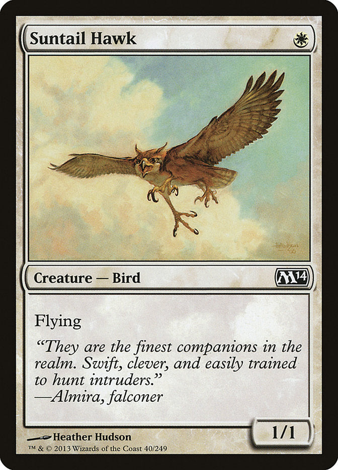 Suntail Hawk [Magic 2014] | Tables and Towers