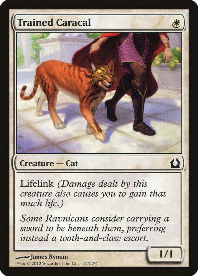 Trained Caracal [Return to Ravnica] | Tables and Towers