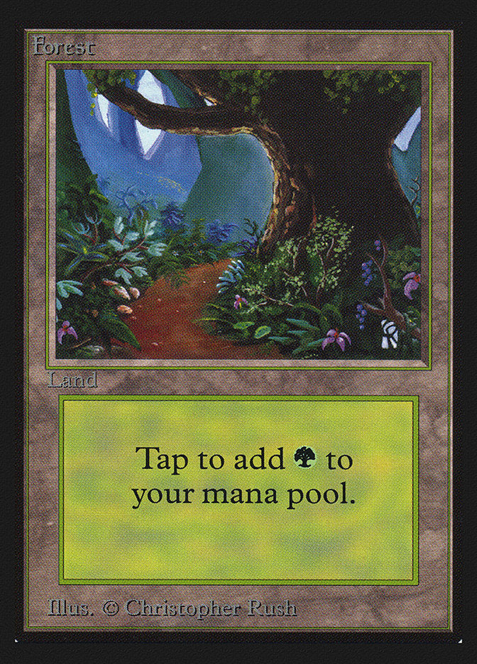 Forest (Flower Path) [Collectors' Edition] | Tables and Towers