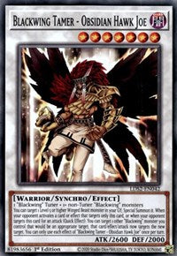 Blackwing Tamer - Obsidian Hawk Joe [LDS2-EN042] Common | Tables and Towers