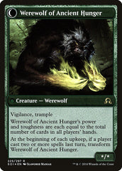 Sage of Ancient Lore // Werewolf of Ancient Hunger [Shadows over Innistrad Prerelease Promos] | Tables and Towers