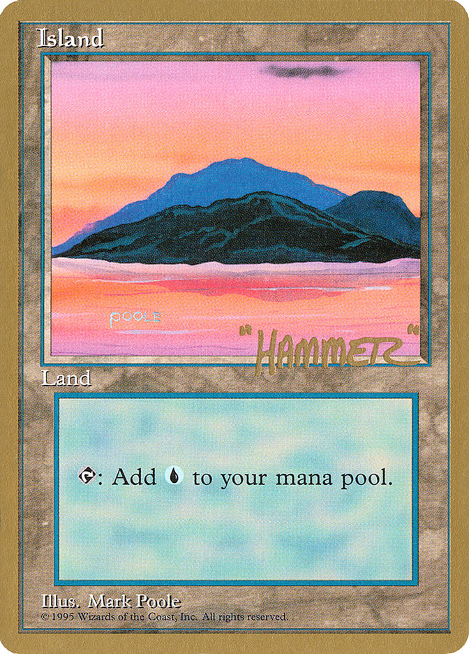 Island (shr369) (Shawn "Hammer" Regnier) [Pro Tour Collector Set] | Tables and Towers