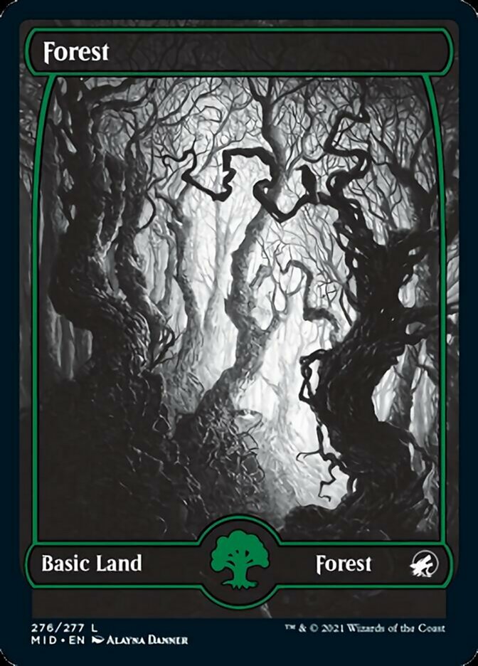 Forest (276) [Innistrad: Midnight Hunt] | Tables and Towers