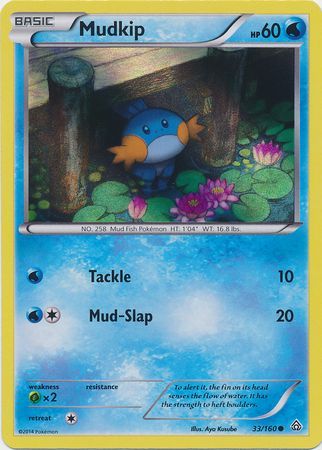 Mudkip (33/160) (Sheen Holo) [XY: Primal Clash] | Tables and Towers