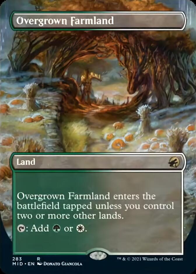 Overgrown Farmland (Borderless Alternate Art) [Innistrad: Midnight Hunt] | Tables and Towers