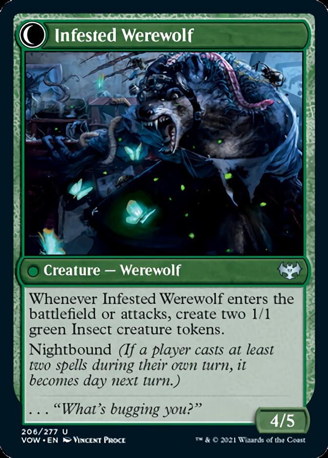 Infestation Expert // Infested Werewolf [Innistrad: Crimson Vow] | Tables and Towers