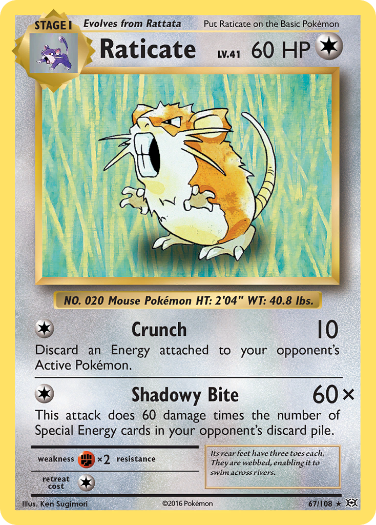 Raticate (67/108) [XY: Evolutions] | Tables and Towers