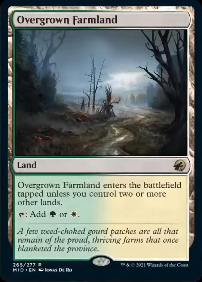 Overgrown Farmland [Innistrad: Midnight Hunt] | Tables and Towers
