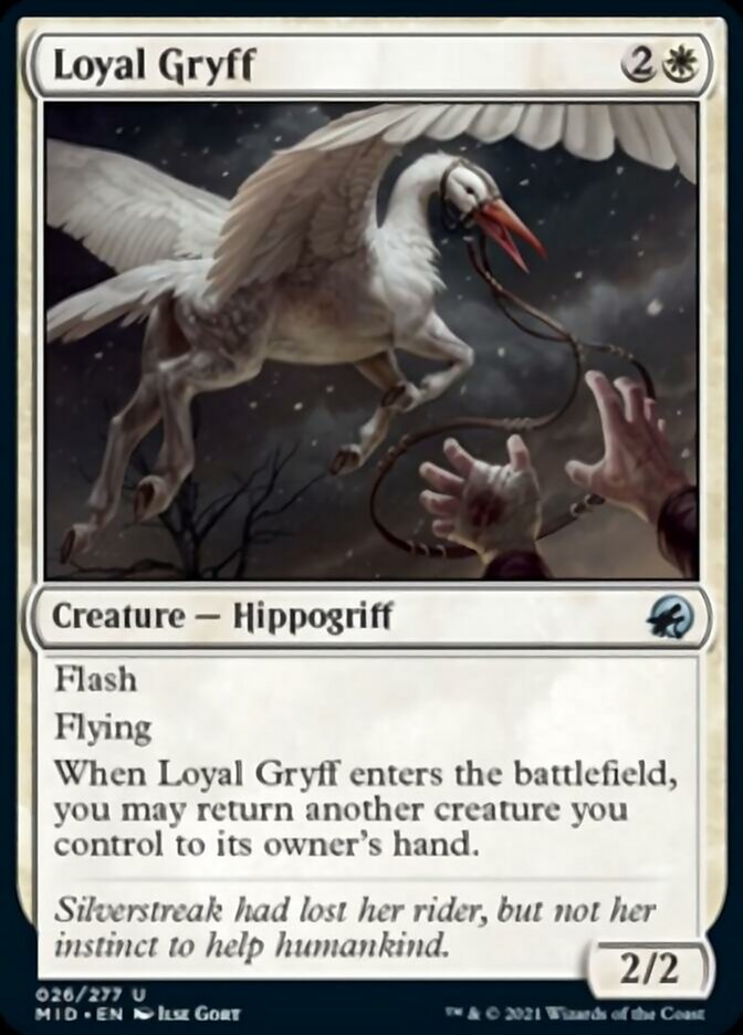 Loyal Gryff [Innistrad: Midnight Hunt] | Tables and Towers