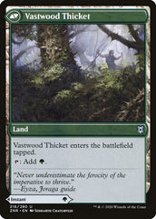 Vastwood Fortification // Vastwood Thicket [Zendikar Rising] | Tables and Towers