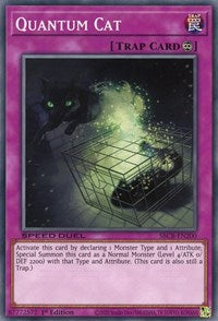 Quantum Cat [SBCB-EN200] Common | Tables and Towers