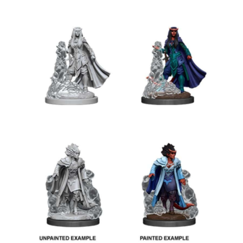 Nolzur's Marvelous Miniatures - Tiefling Female Sorcerer | Tables and Towers