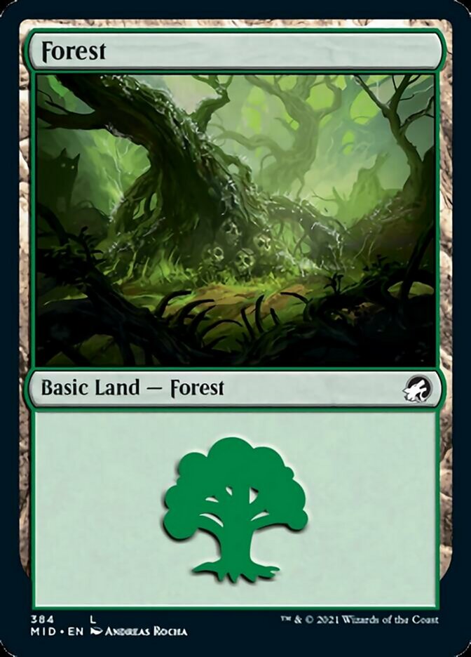 Forest (384) [Innistrad: Midnight Hunt] | Tables and Towers
