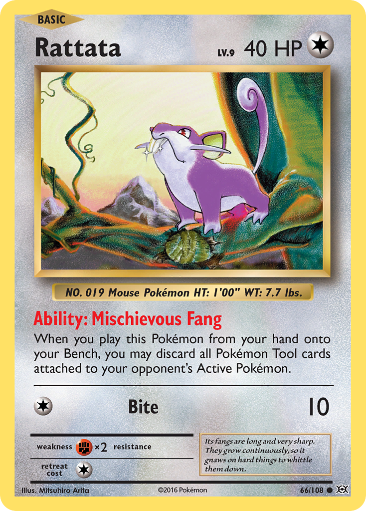 Rattata (66/108) [XY: Evolutions] | Tables and Towers