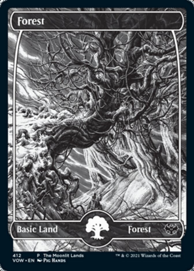 Forest (The Moonlit Lands) (Foil Etched) [Innistrad: Crimson Vow Promos] | Tables and Towers