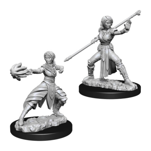 Nolzur's Marvelous Miniatures - Female Half-Elf Monk | Tables and Towers