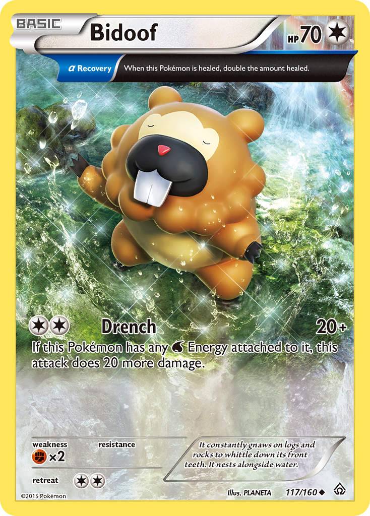 Bidoof (117/160) [XY: Primal Clash] | Tables and Towers