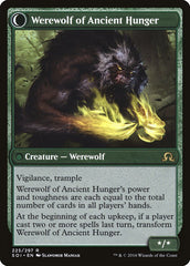 Sage of Ancient Lore // Werewolf of Ancient Hunger [Shadows over Innistrad] | Tables and Towers