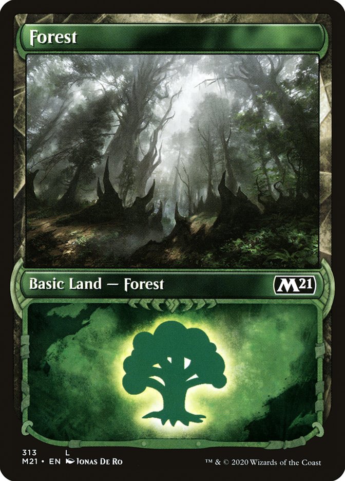 Forest (313) (Showcase) [Core Set 2021] | Tables and Towers