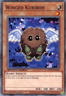 Winged Kuriboh [SGX1-ENA06] Common | Tables and Towers