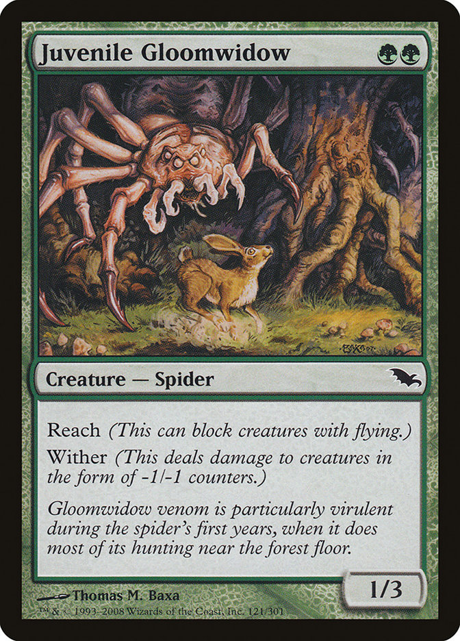 Juvenile Gloomwidow [Shadowmoor] | Tables and Towers