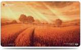 Ultra Pro Magic The Gathering: Unstable Plains - Playmat (UP86710) | Tables and Towers