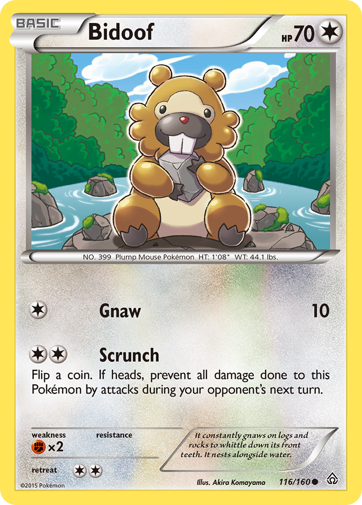 Bidoof (116/160) [XY: Primal Clash] | Tables and Towers