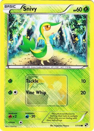 Snivy (1/114) (League Promo) [Black & White: Base Set] | Tables and Towers