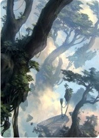 Forest 1 Art Card [Zendikar Rising Art Series] | Tables and Towers