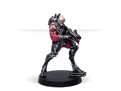 Infinity Code One Model Color Set Shasvastii Exclusive Minature | Tables and Towers