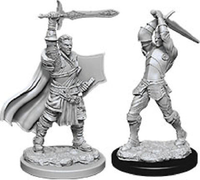 Nolzur's Marvelous Miniatures - Male Human Paladin | Tables and Towers